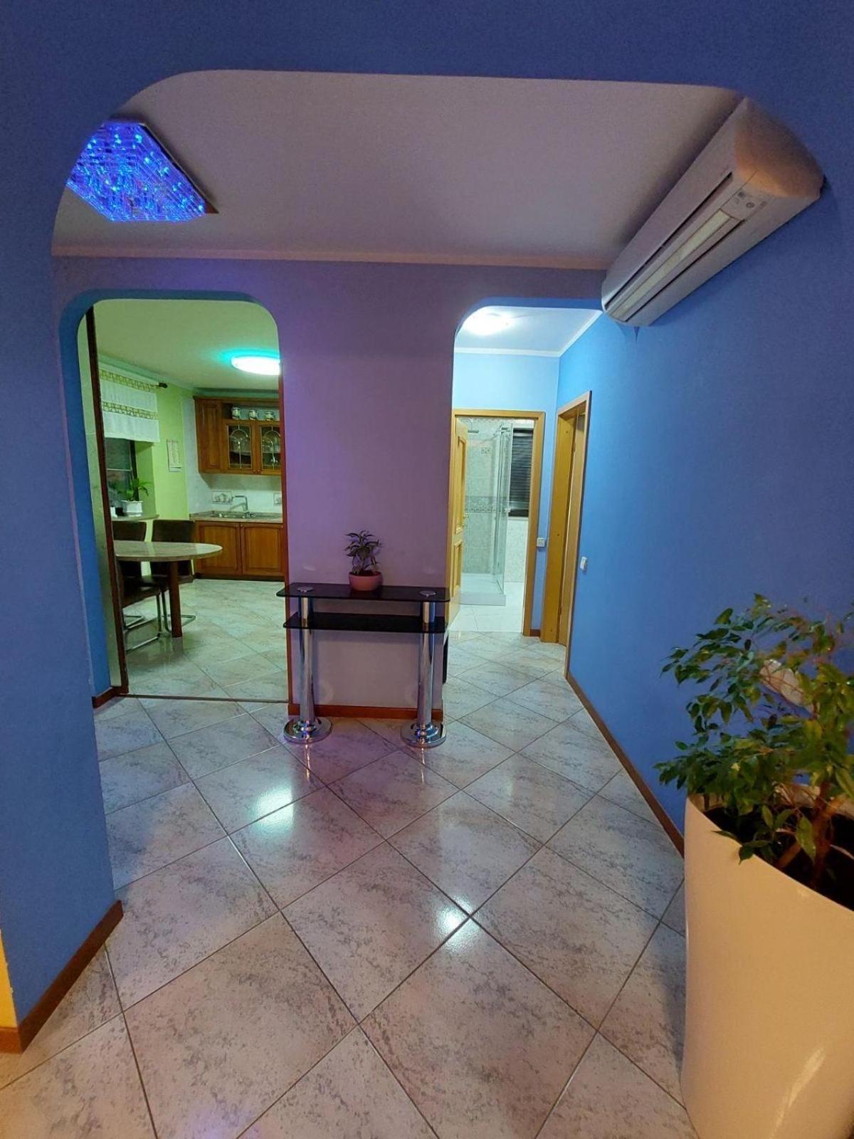 Apartma Mimi Dekani Esterno foto